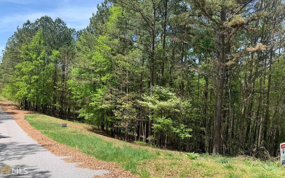 LOT 28 Loftis MTN Blairsville, GA 30512