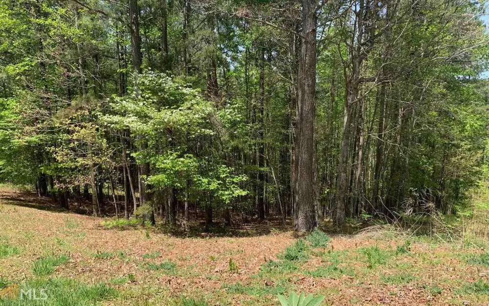 LOT 28 Loftis MTN Blairsville, GA 30512