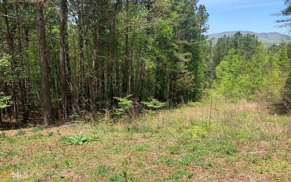 LOT 28 Loftis MTN Blairsville, GA 30512