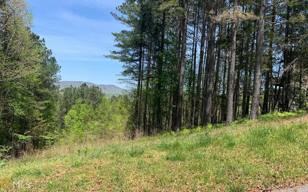 LOT 28 Loftis MTN Blairsville, GA 30512