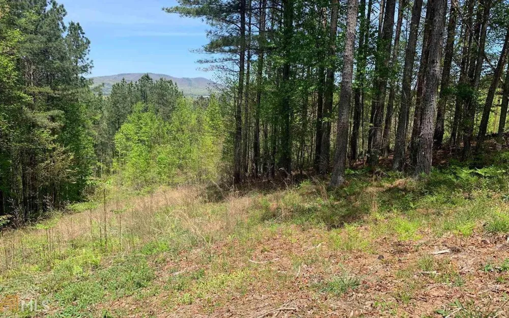 LOT 28 Loftis MTN Blairsville, GA 30512