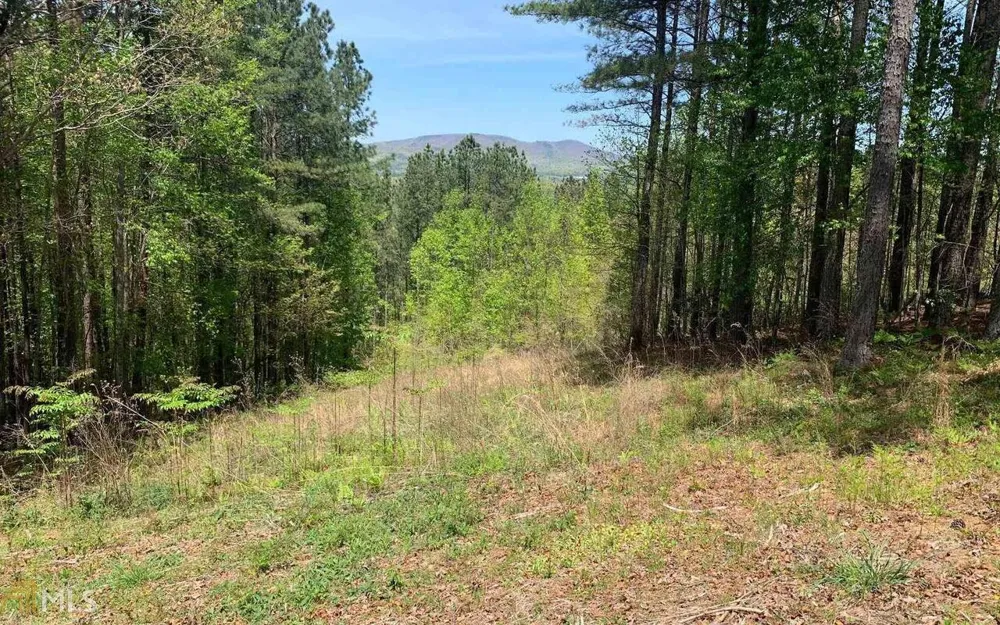 LOT 28 Loftis MTN Blairsville, GA 30512