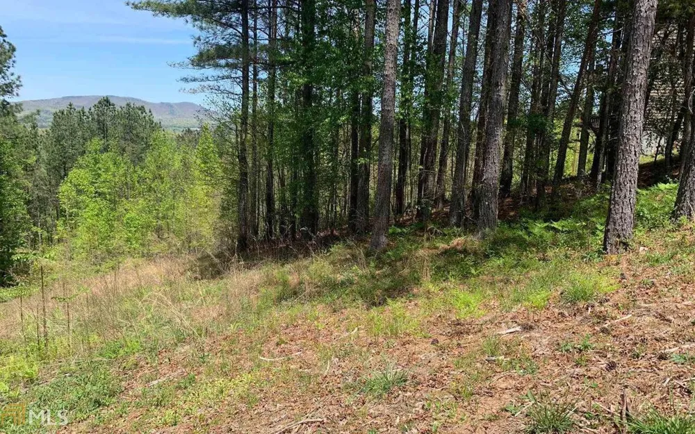 LOT 28 Loftis MTN Blairsville, GA 30512