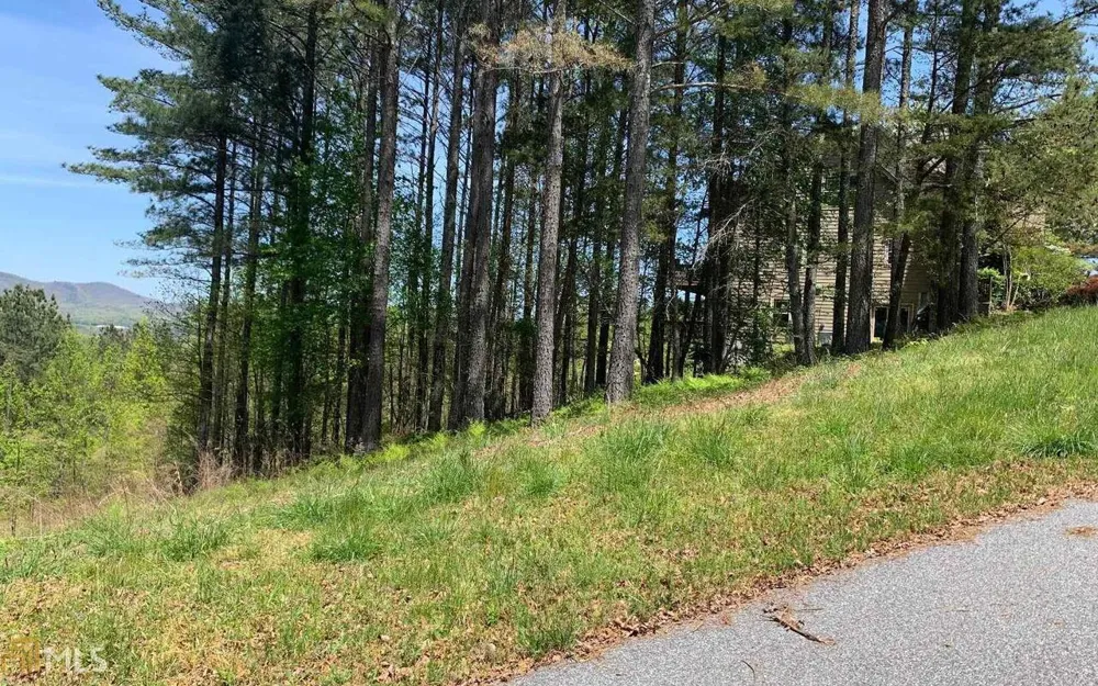 LOT 28 Loftis MTN Blairsville, GA 30512