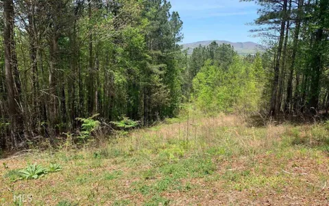 LOT 28 Loftis MTN