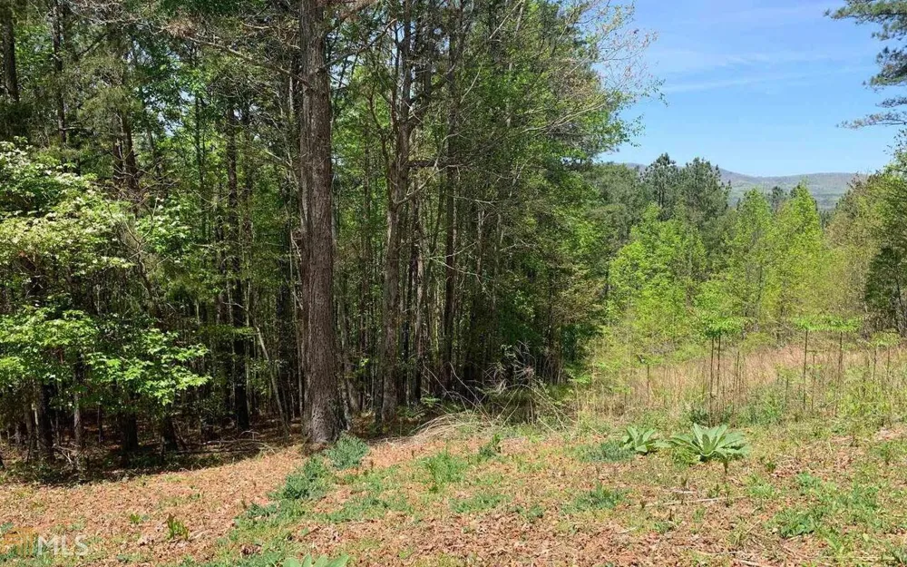 LOT 28 Loftis MTN Blairsville, GA 30512
