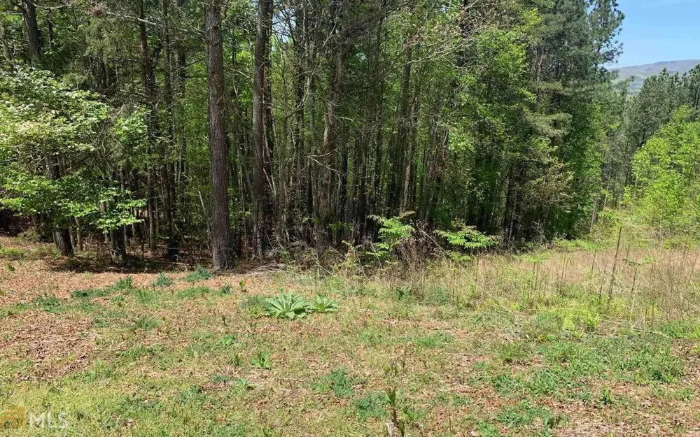 LOT 28 Loftis MTN Blairsville, GA 30512