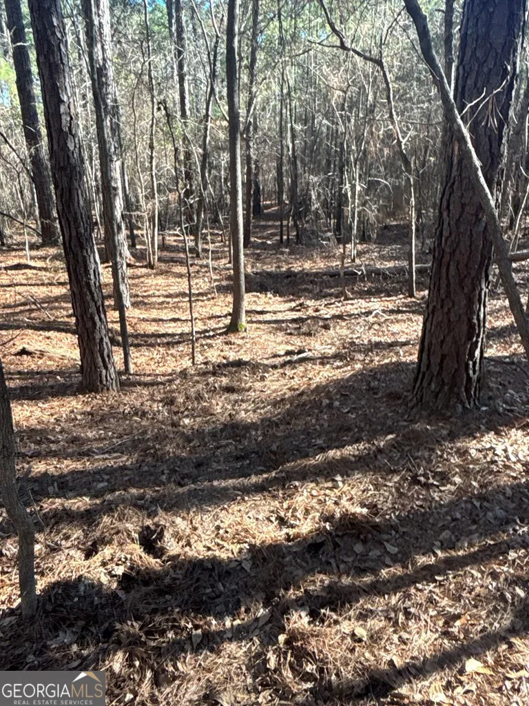 0 Geneva HWY Talbotton, GA 31827