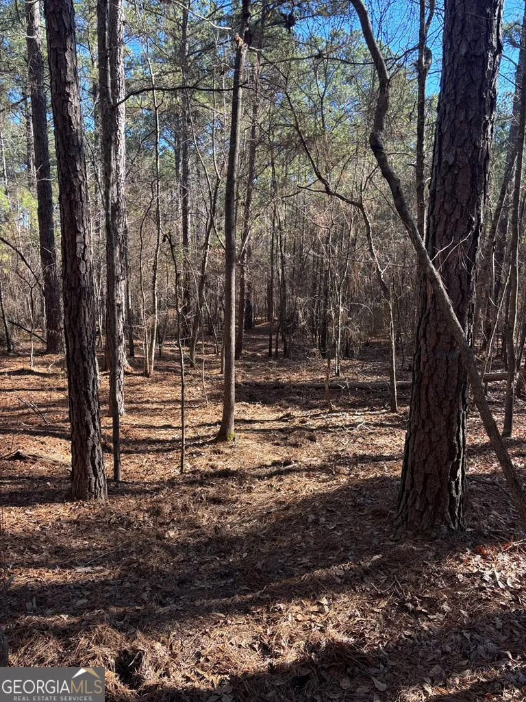 0 Geneva HWY Talbotton, GA 31827