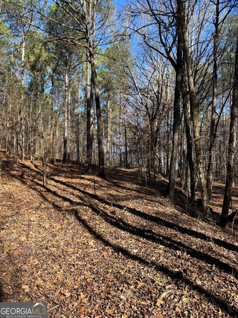 0 Geneva HWY Talbotton, GA 31827