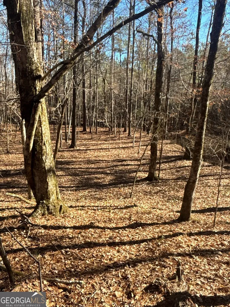 0 Geneva HWY Talbotton, GA 31827