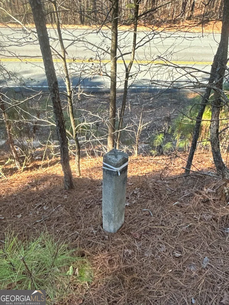 0 Geneva HWY Talbotton, GA 31827