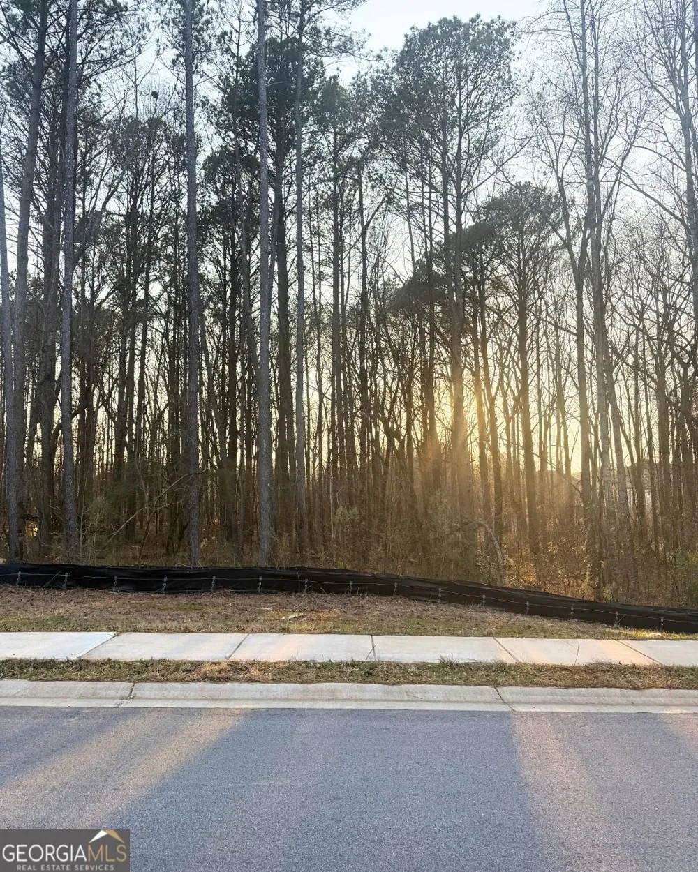 110 Spyglass CIR McDonough, GA 30253
