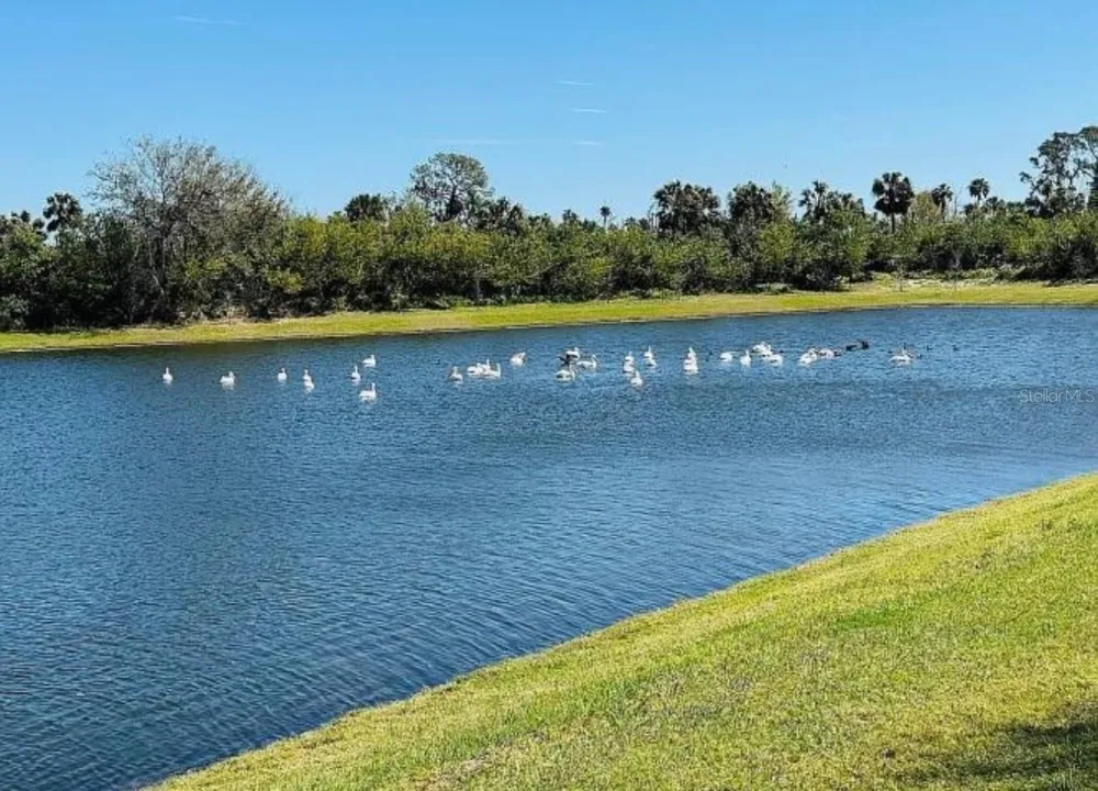6272 BUCKET COURT Gibsonton, FL 33534