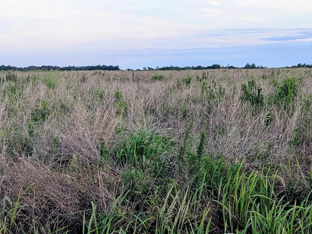 TOM BRYAN RD Zolfo Springs, FL 33890