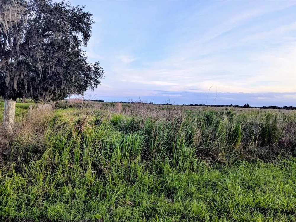 TOM BRYAN RD Zolfo Springs, FL 33890