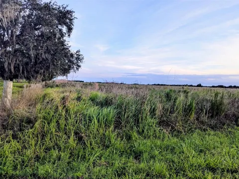 TOM BRYAN RD