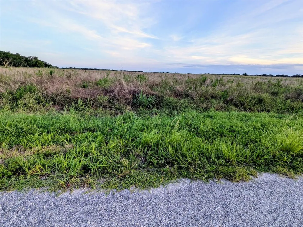 TOM BRYAN RD Zolfo Springs, FL 33890