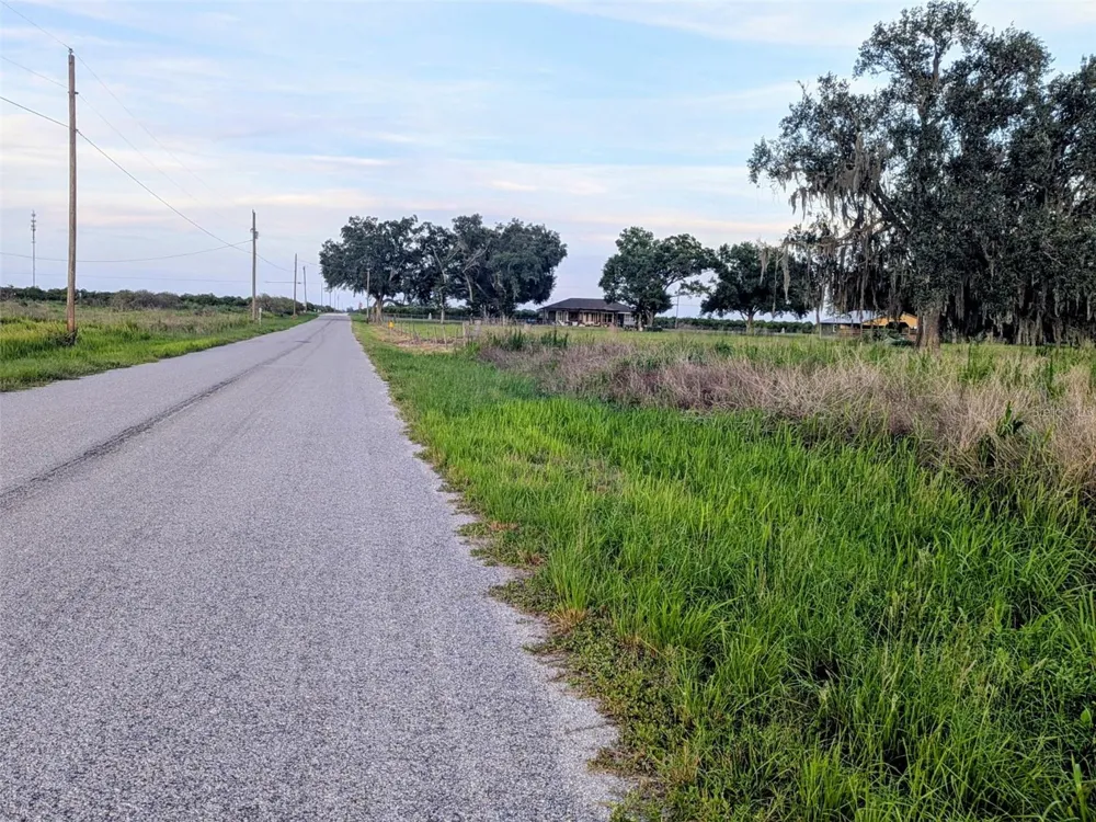 TOM BRYAN RD Zolfo Springs, FL 33890