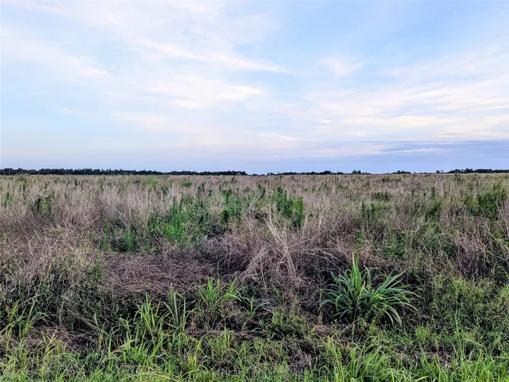 TOM BRYAN RD Zolfo Springs, FL 33890