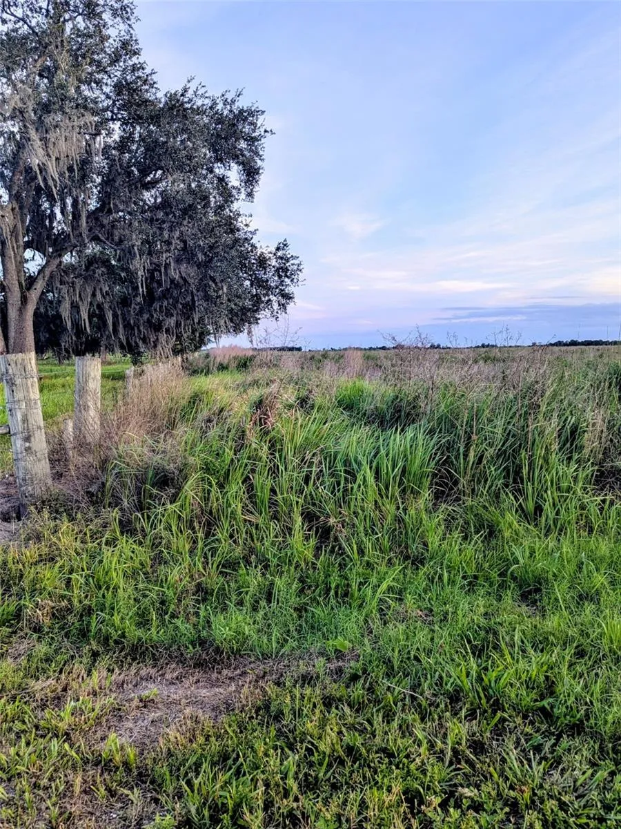 TOM BRYAN RD Zolfo Springs, FL 33890