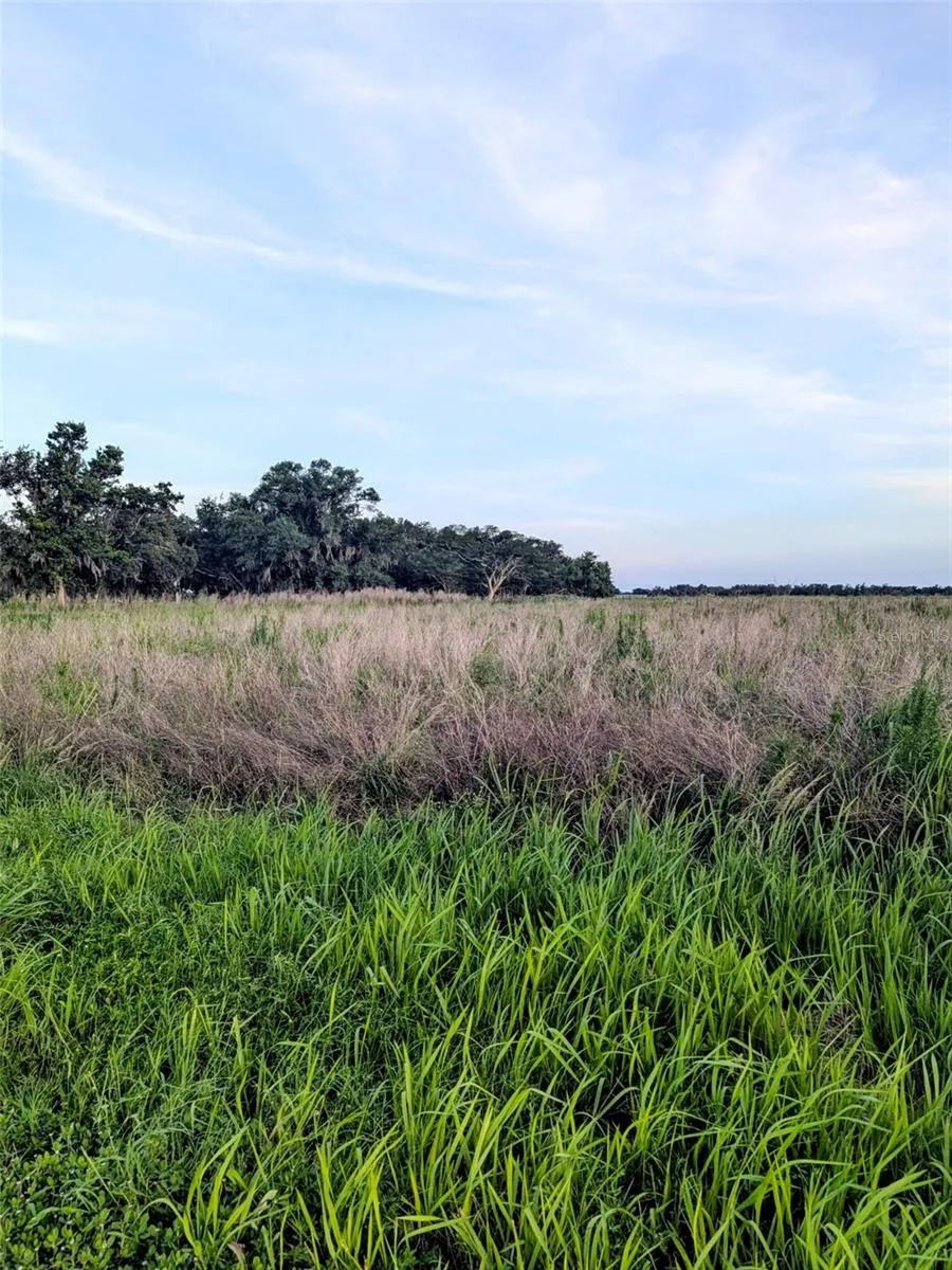 TOM BRYAN RD Zolfo Springs, FL 33890