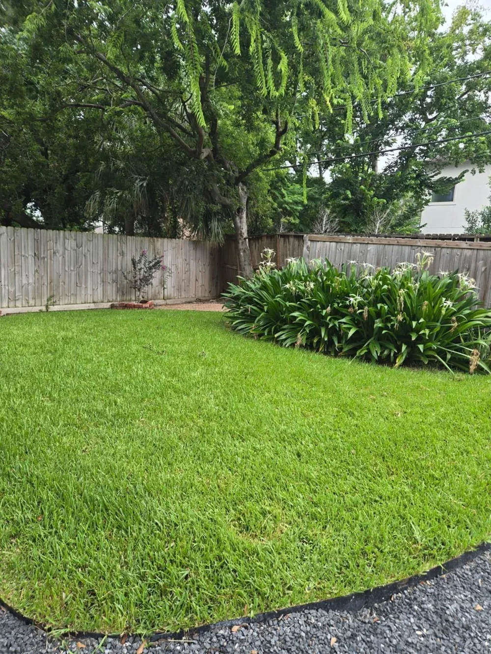 5010 Mayfair Street Bellaire, TX 77401