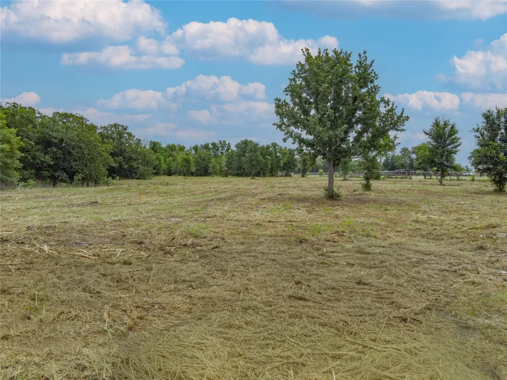 Hwy 36 S Lyons, TX 77863