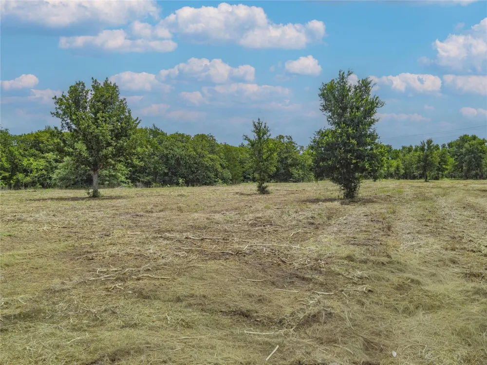 Hwy 36 S Lyons, TX 77863