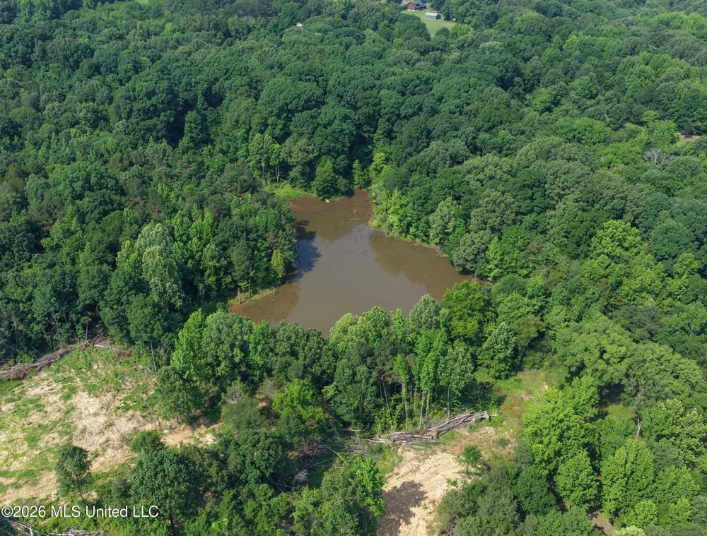 2169 Slocum Road Hernando, MS 38632