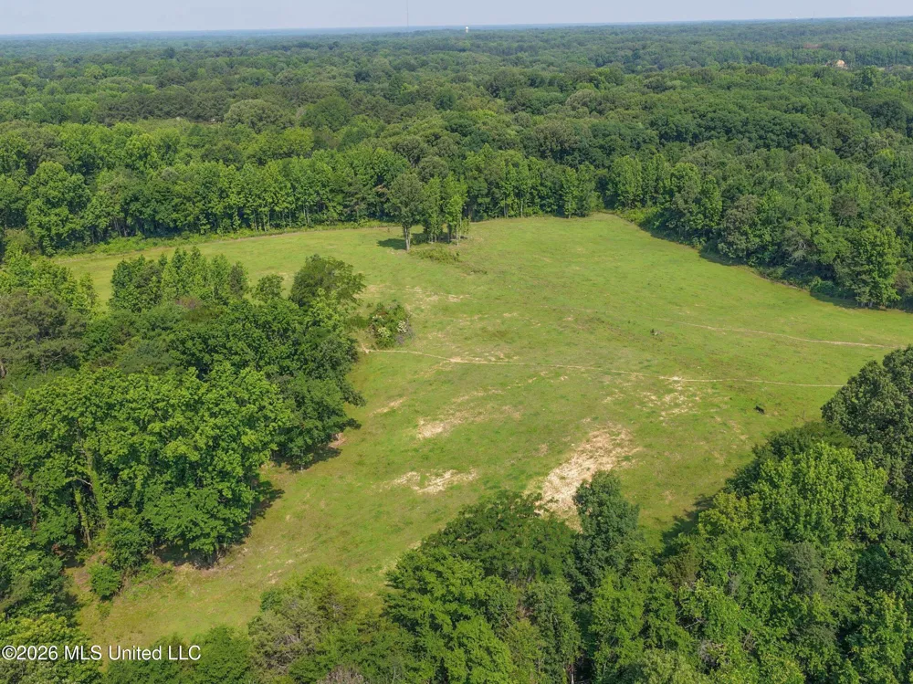 2169 Slocum Road Hernando, MS 38632