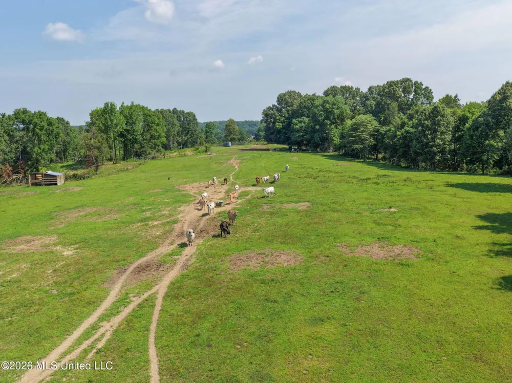 2169 Slocum Road Hernando, MS 38632