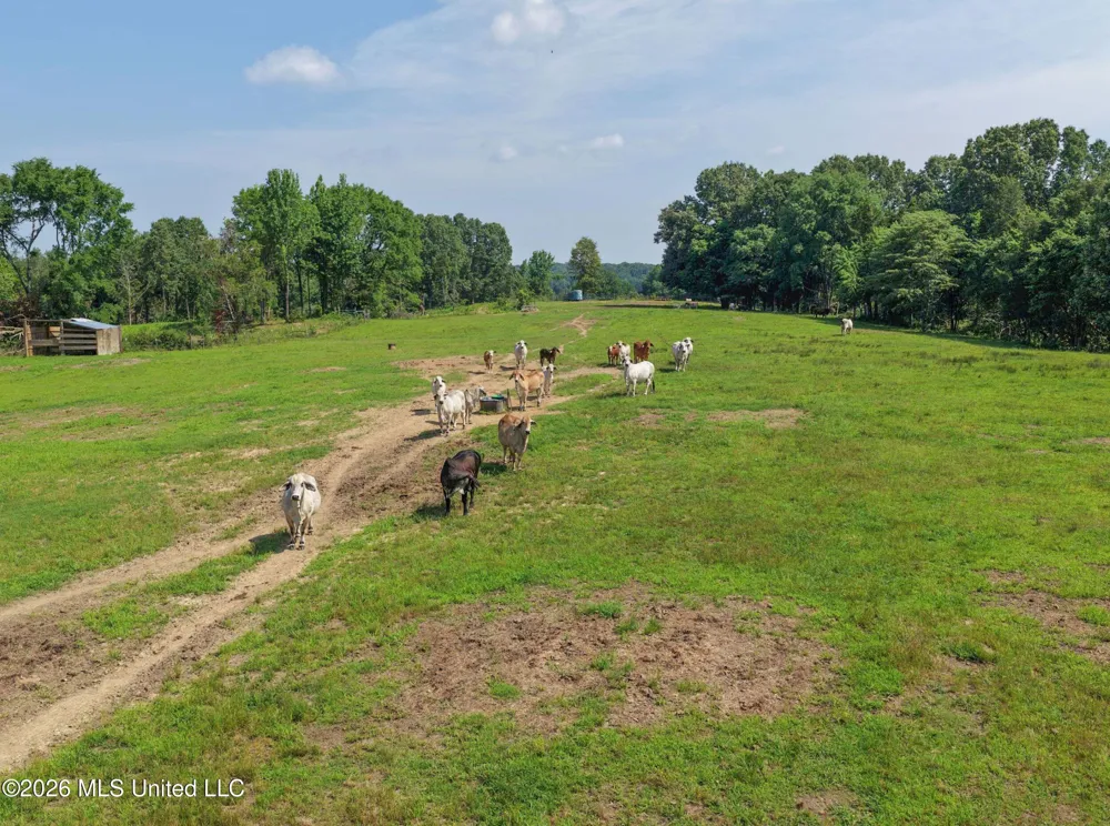 2169 Slocum Road Hernando, MS 38632