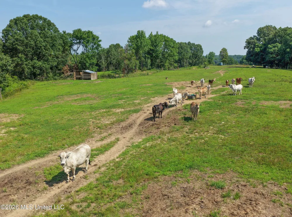 2169 Slocum Road Hernando, MS 38632