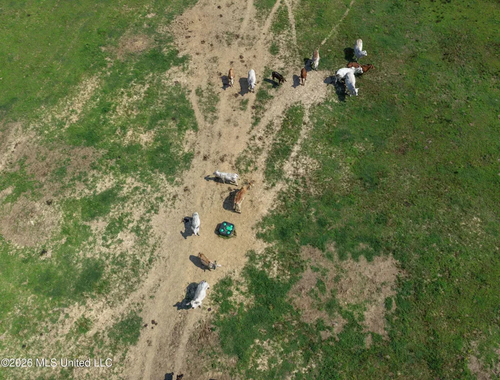 2169 Slocum Road Hernando, MS 38632