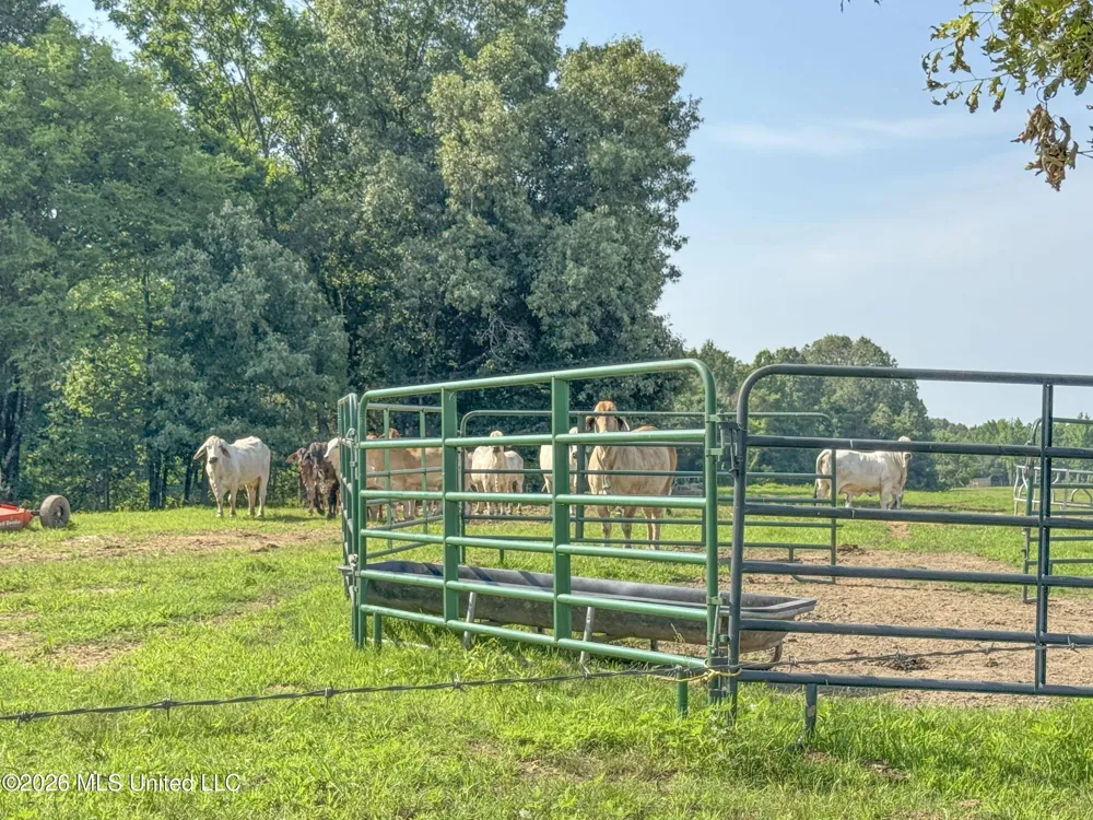 2169 Slocum Road Hernando, MS 38632