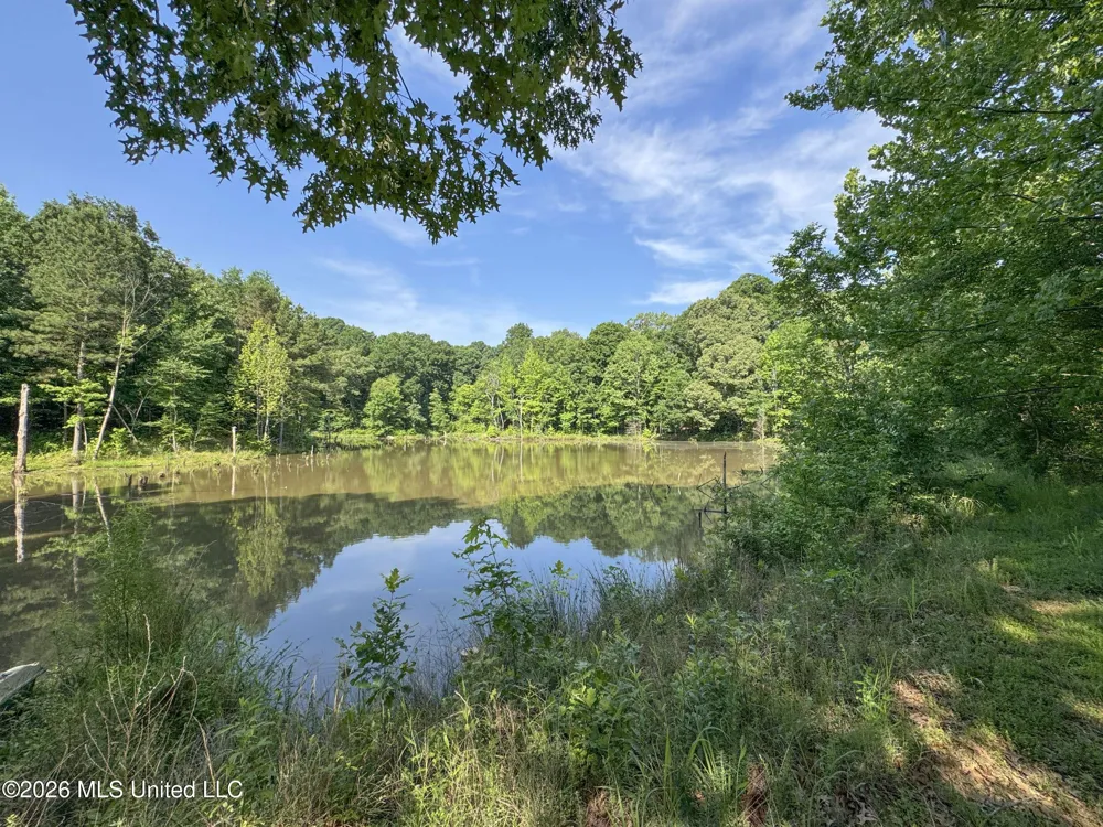 2169 Slocum Road Hernando, MS 38632