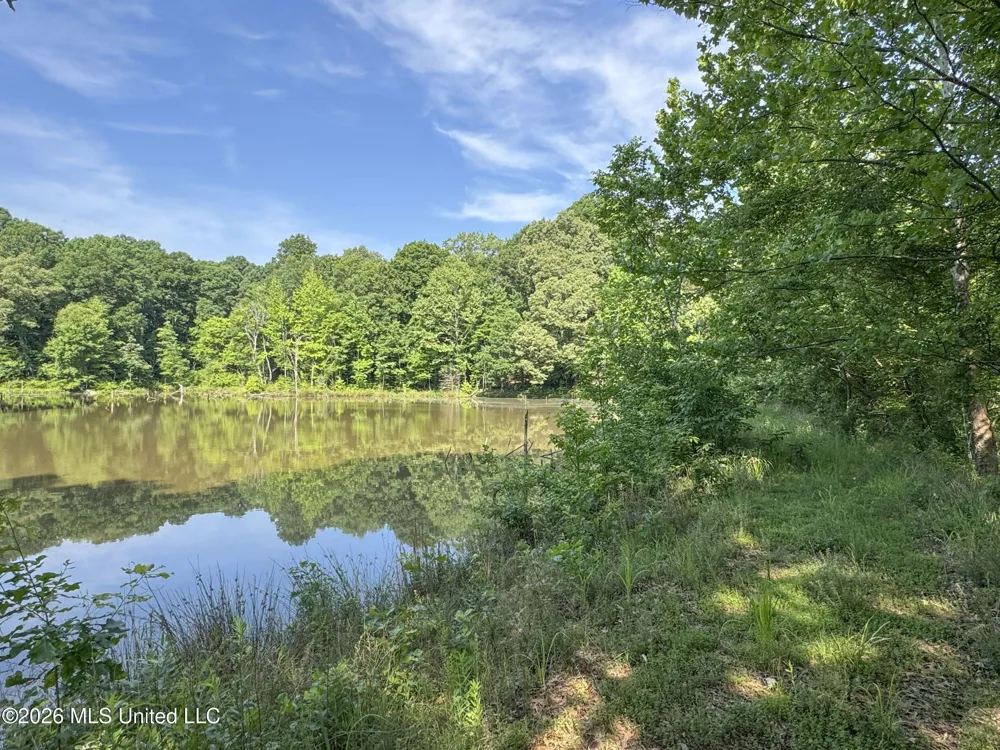 2169 Slocum Road Hernando, MS 38632