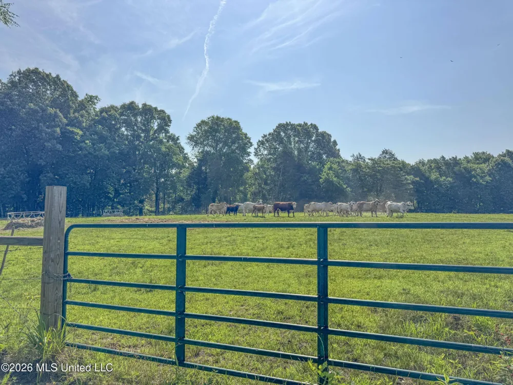 2169 Slocum Road Hernando, MS 38632