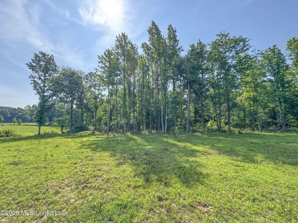 2169 Slocum Road Hernando, MS 38632