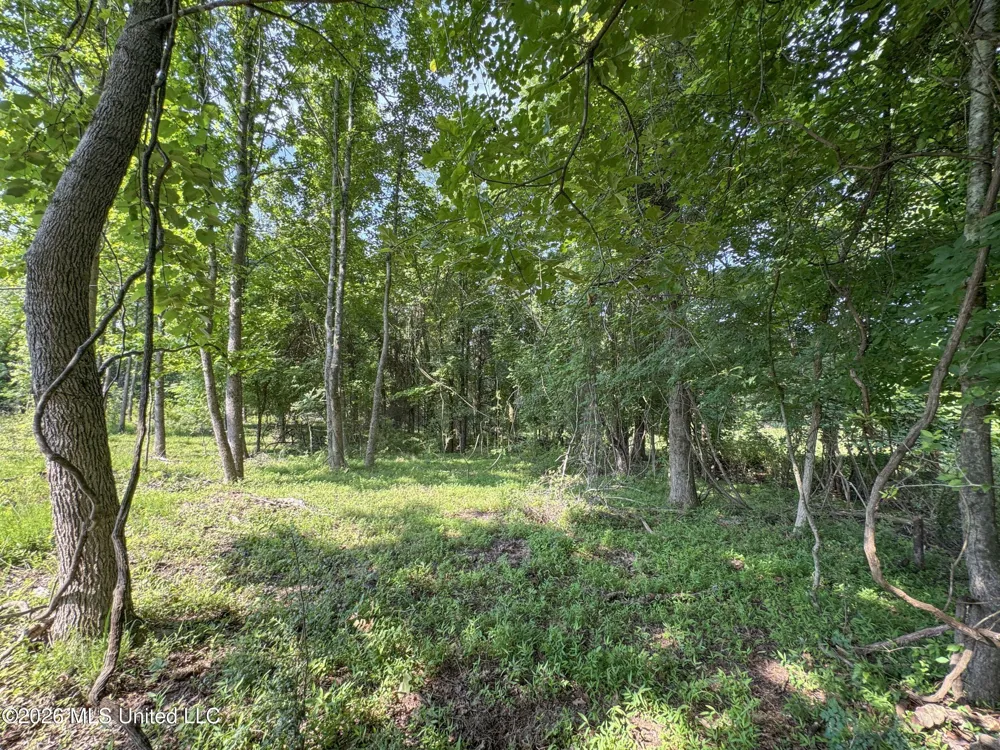 2169 Slocum Road Hernando, MS 38632