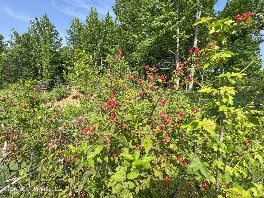 2169 Slocum Road Hernando, MS 38632