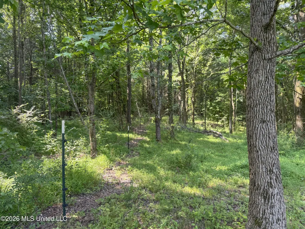 2169 Slocum Road Hernando, MS 38632