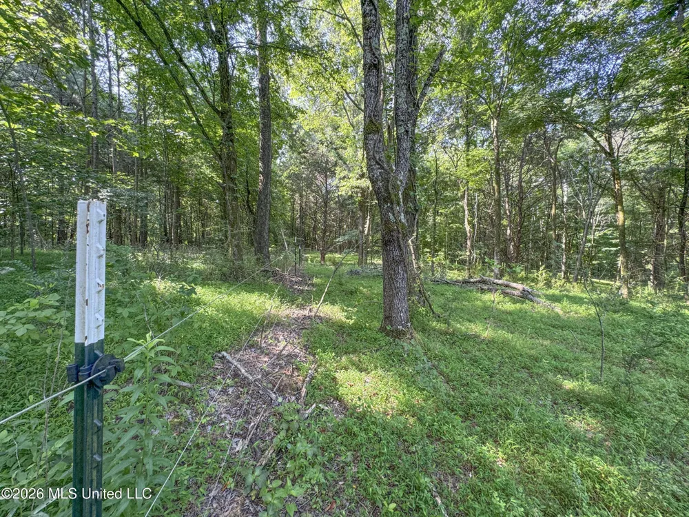 2169 Slocum Road Hernando, MS 38632