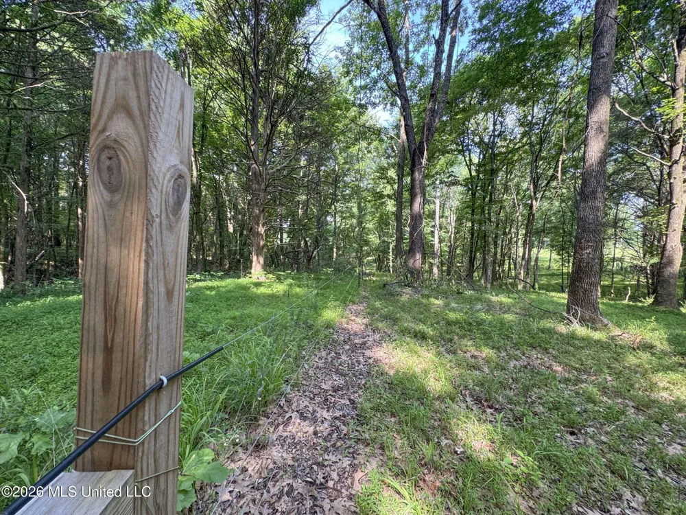 2169 Slocum Road Hernando, MS 38632