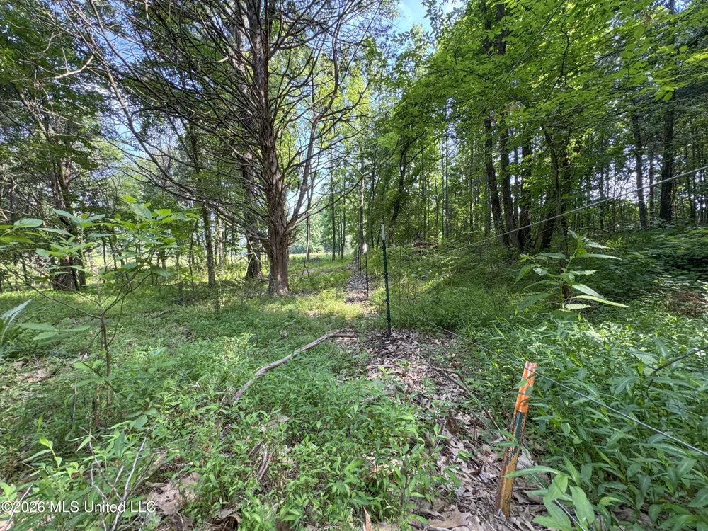 2169 Slocum Road Hernando, MS 38632