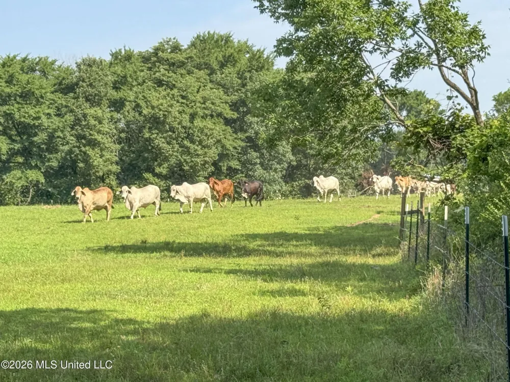 2169 Slocum Road Hernando, MS 38632