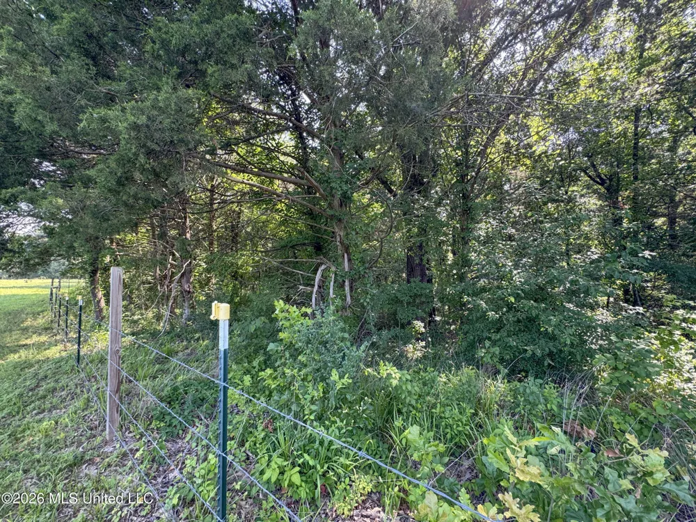 2169 Slocum Road Hernando, MS 38632