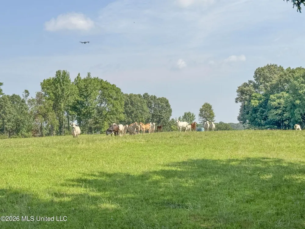 2169 Slocum Road Hernando, MS 38632