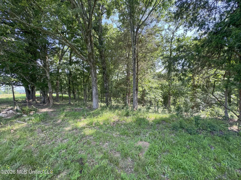 2169 Slocum Road Hernando, MS 38632